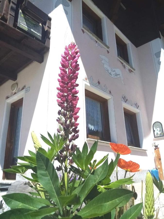 Appartamento Stella Alpina Livigno
