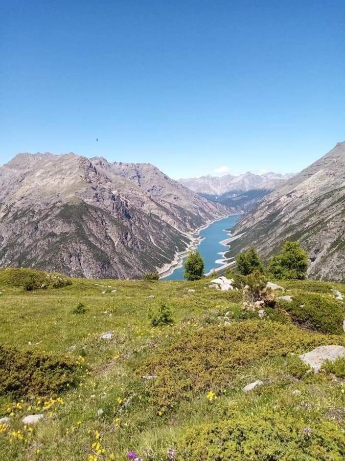 Stella Alpina Appartamento Livigno